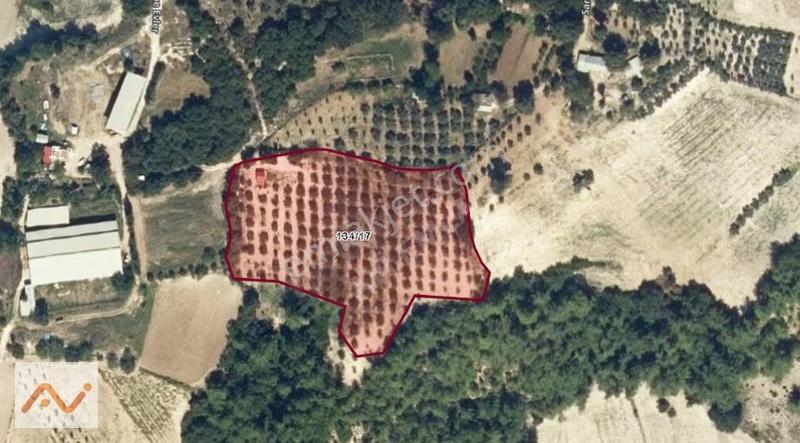 Karakütük Köyünde Merkeze 3 Km Mesafede Hobi Bahçesi/ Arsa - Görsel 2