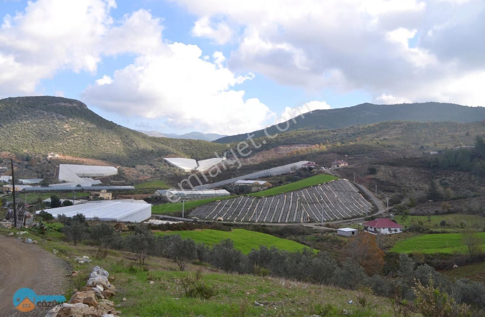 Hobi Bahçesi... - Görsel 2