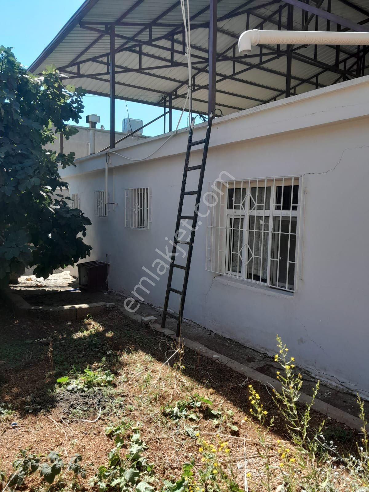 Müstakil Acil Satılık Ev - Görsel 10