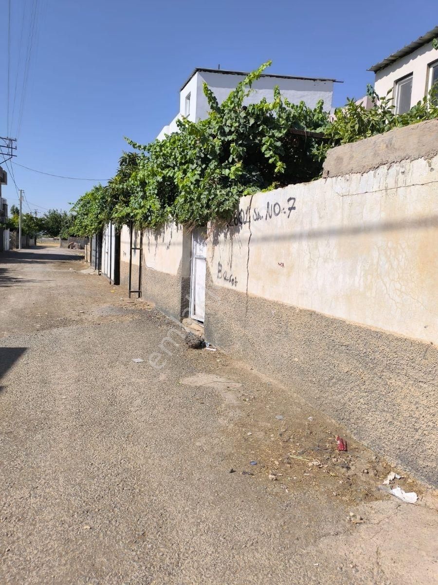 Acar Emlaktan Çatalözü Mah Satılık 400m2 3+1 Müstakil Bahçeli Ev - Görsel 11