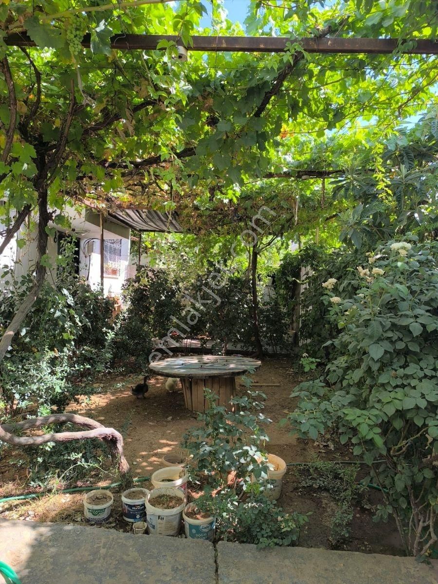 Acar Emlaktan Çatalözü Mah Satılık 400m2 3+1 Müstakil Bahçeli Ev - Görsel 13