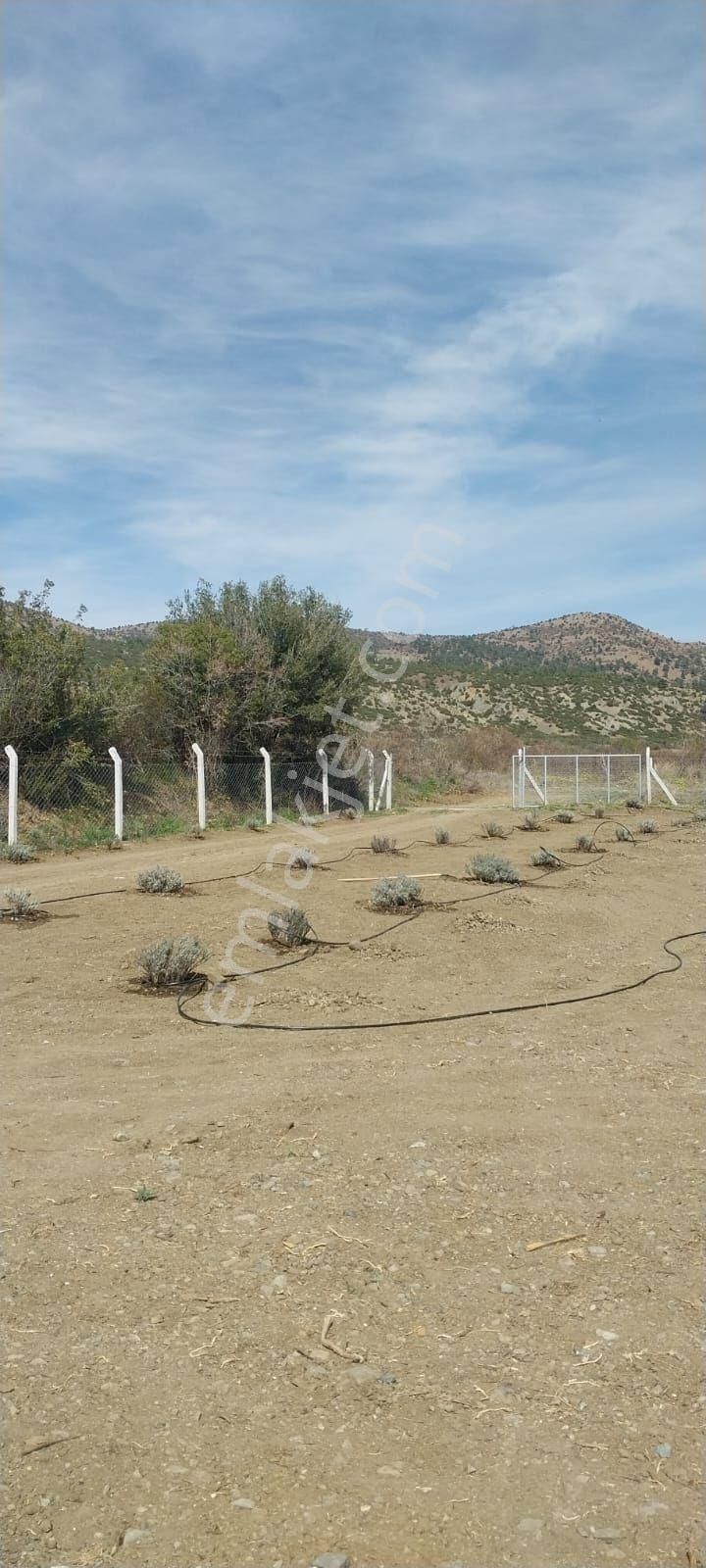 Burdur Salda Gölü 3,5 Dönüm Tek Tapu Satılık Bağ - Görsel 14