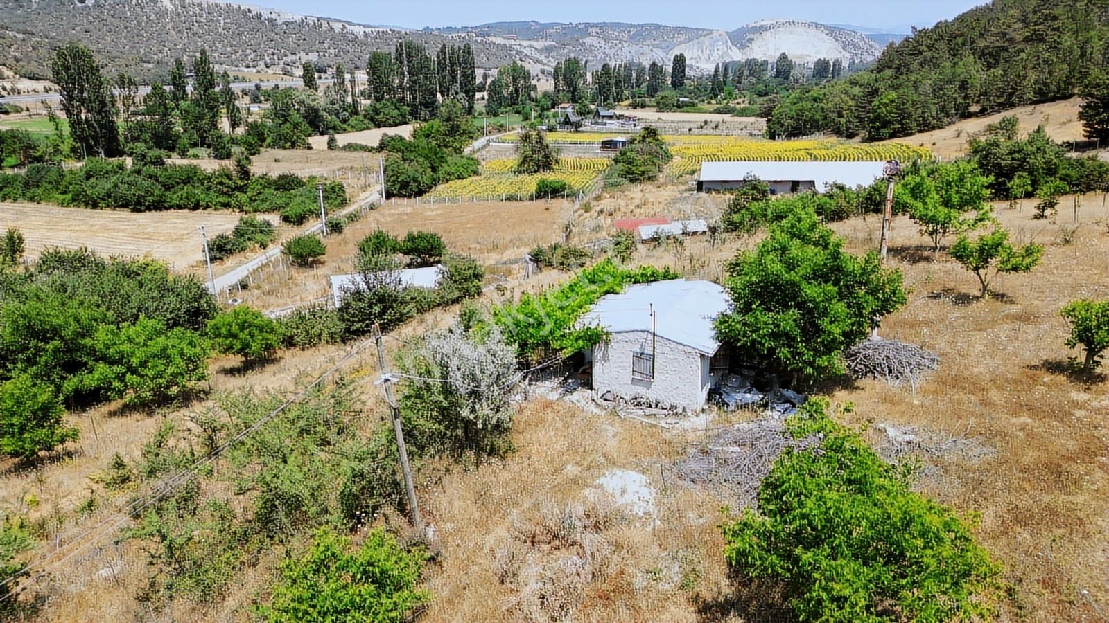 Çözüm Emlak | Bozüyük | Kızılcapınar Köyü | 9.268 M² Tarla