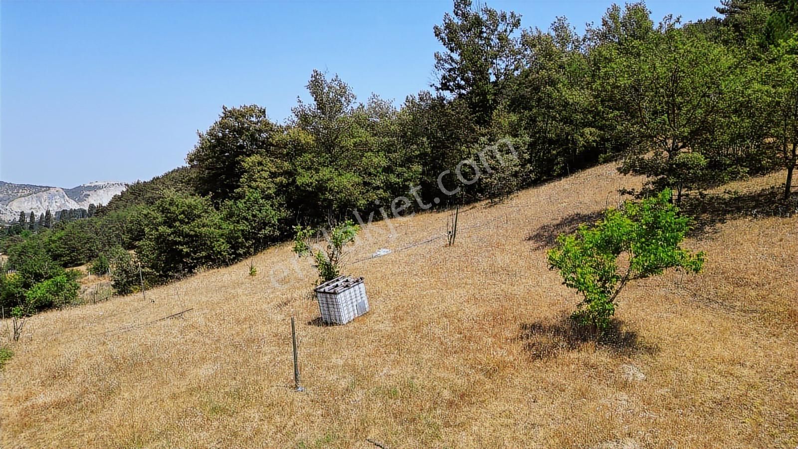 Çözüm Emlak | Bozüyük | Kızılcapınar Köyü | 9.268 M² Tarla - Görsel 22