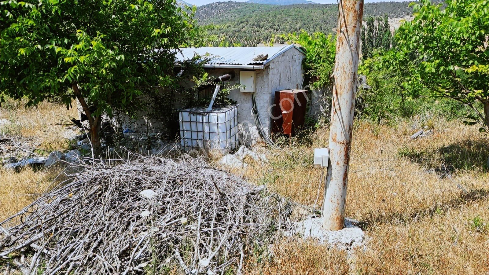 Çözüm Emlak | Bozüyük | Kızılcapınar Köyü | 9.268 M² Tarla - Görsel 16