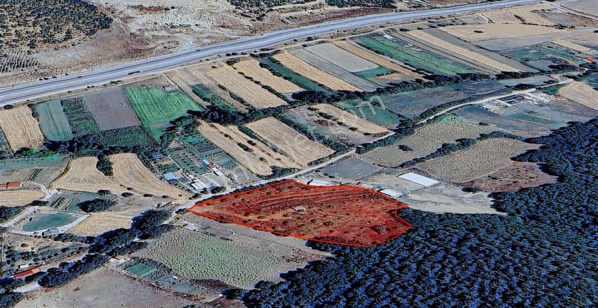 Çözüm Emlak | Bozüyük | Kızılcapınar Köyü | 9.268 M² Tarla - Görsel 30