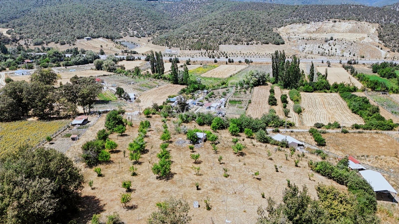 Çözüm Emlak | Bozüyük | Kızılcapınar Köyü | 9.268 M² Tarla - Görsel 17