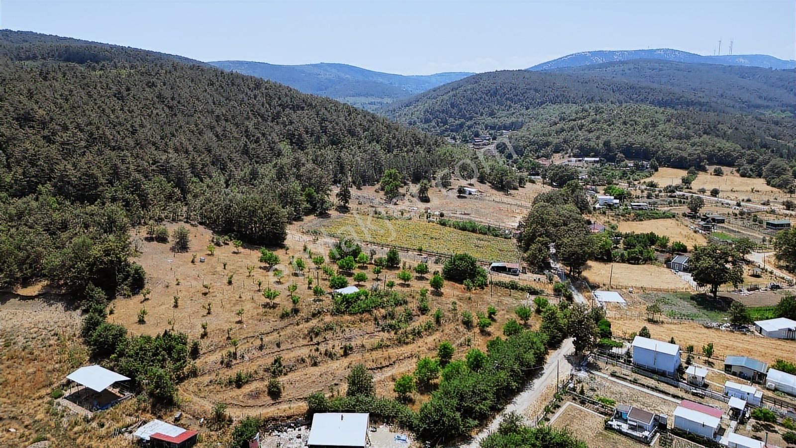 Çözüm Emlak | Bozüyük | Kızılcapınar Köyü | 9.268 M² Tarla - Görsel 25