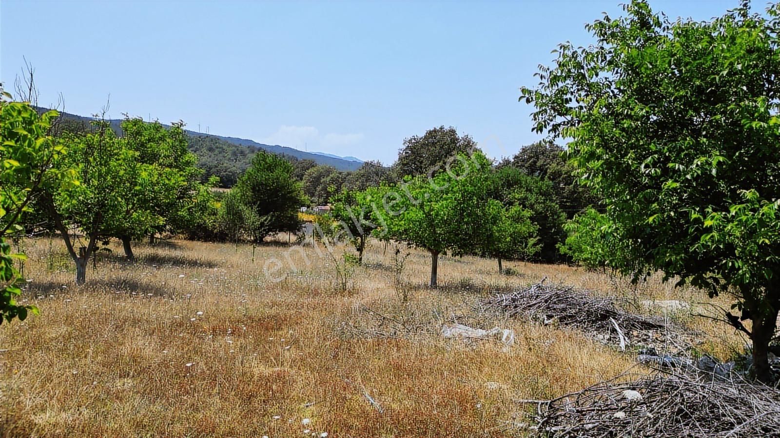 Çözüm Emlak | Bozüyük | Kızılcapınar Köyü | 9.268 M² Tarla - Görsel 12