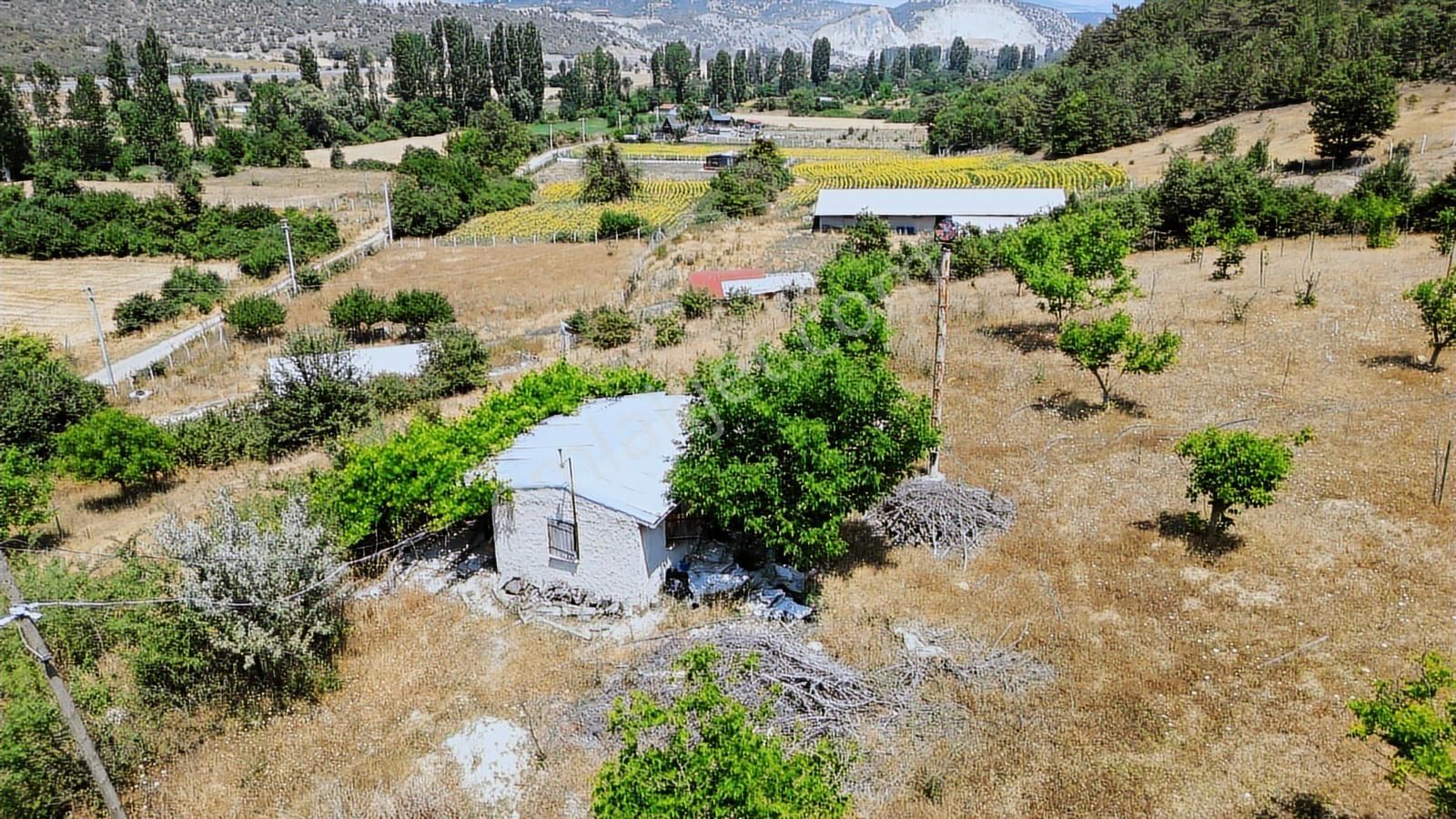 Çözüm Emlak | Bozüyük | Kızılcapınar Köyü | 9.268 M² Tarla - Görsel 10