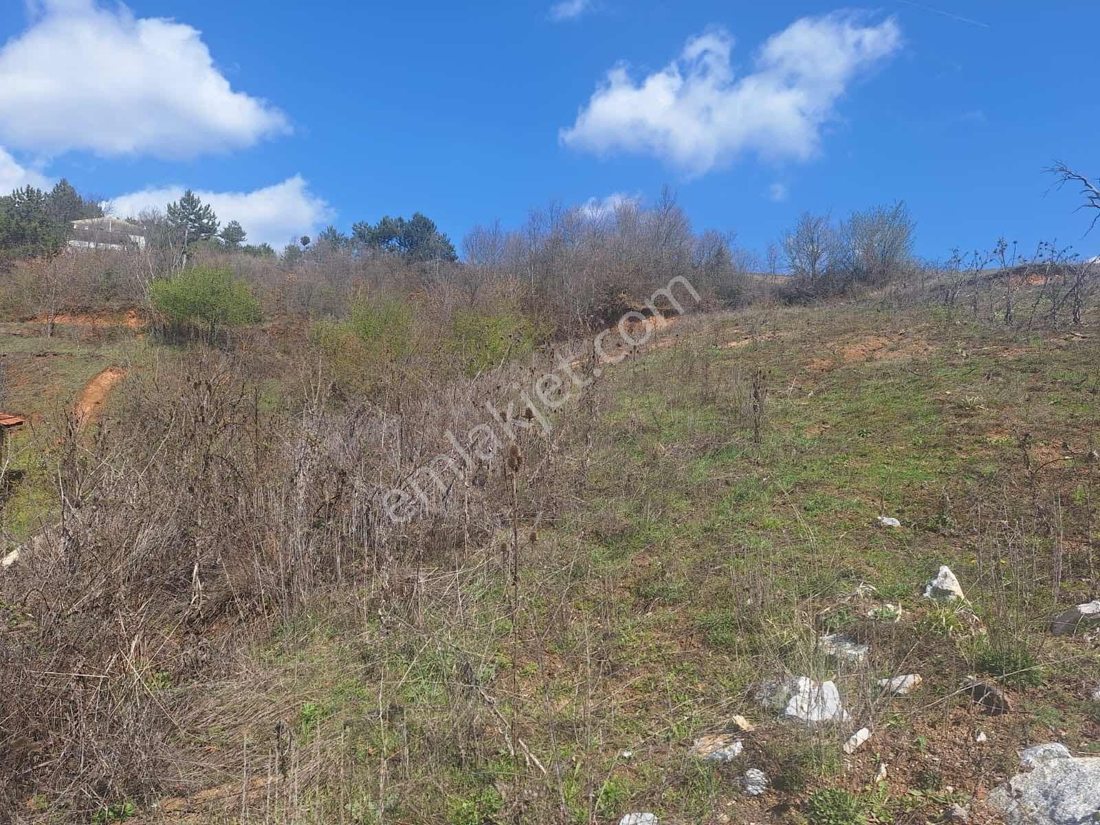 Berkay Emlaktan:satılık Arsa Güneybudaklar Köyü - Görsel 19