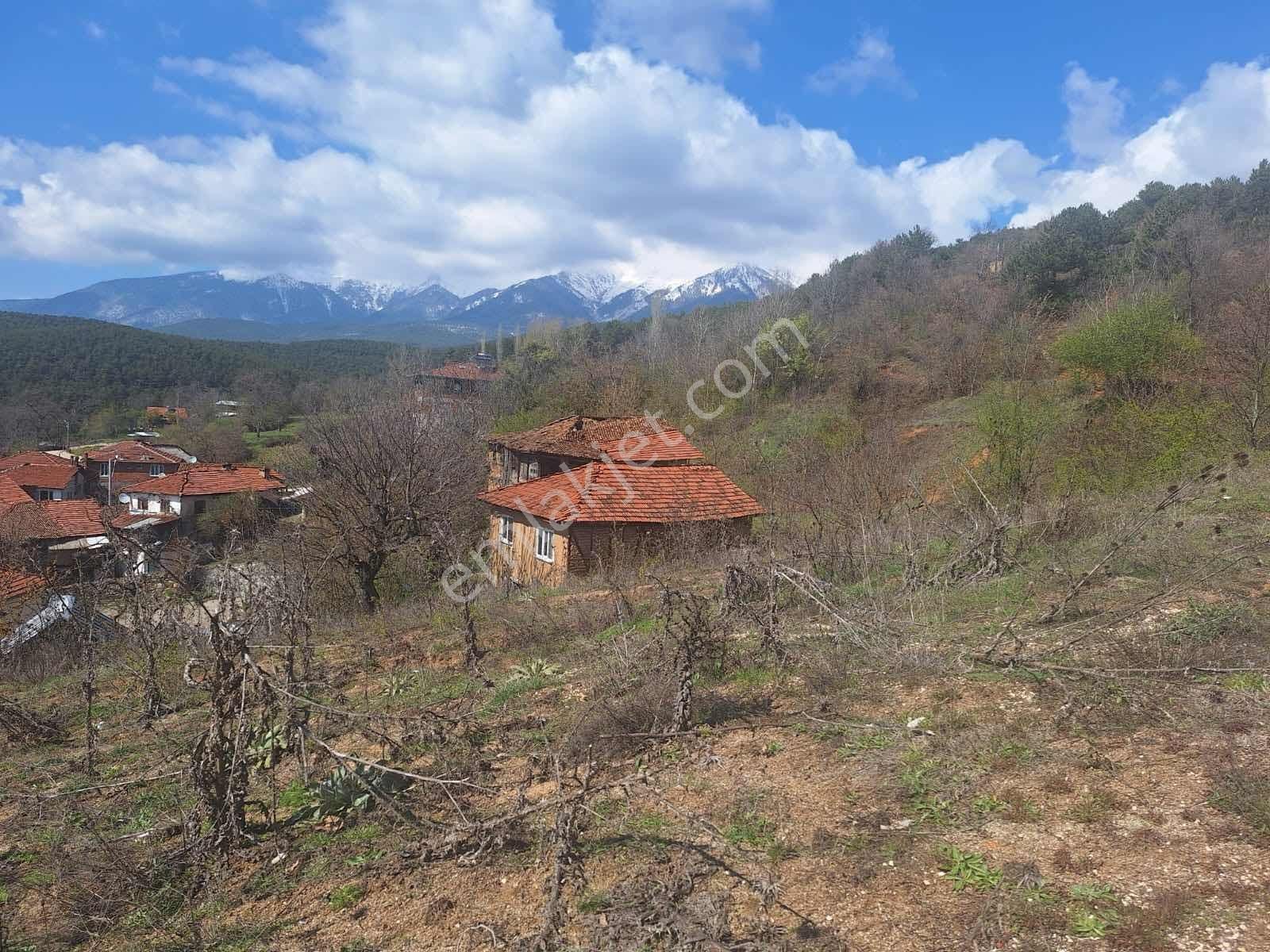 Berkay Emlaktan:satılık Arsa Güneybudaklar Köyü - Görsel 2