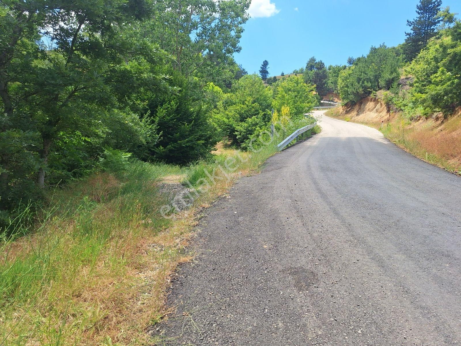 Berkay Emlaktan Satılık Güneybudaklar Köyü
