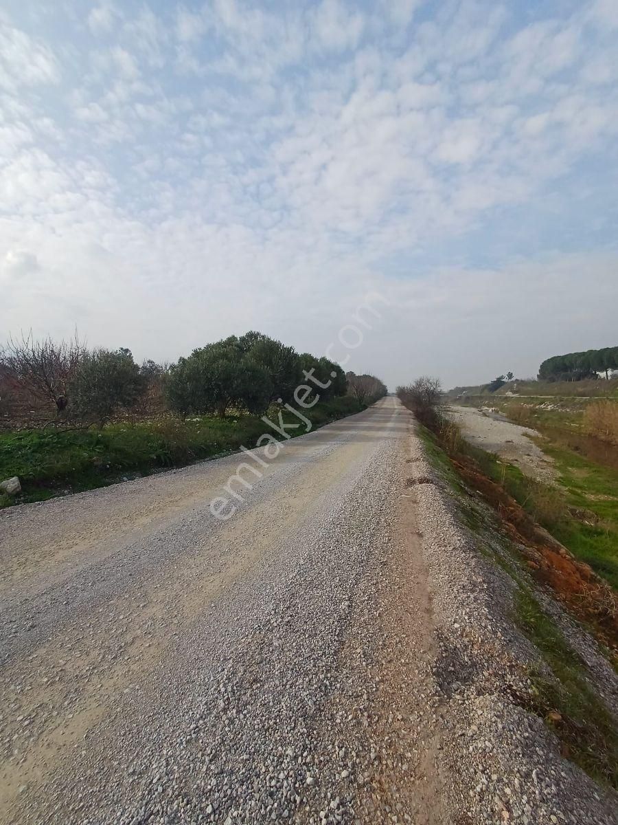 Binax Bakırçay Satılık Tarla Sütçüler Anayol Yakın 15.000 M2 - Görsel 10