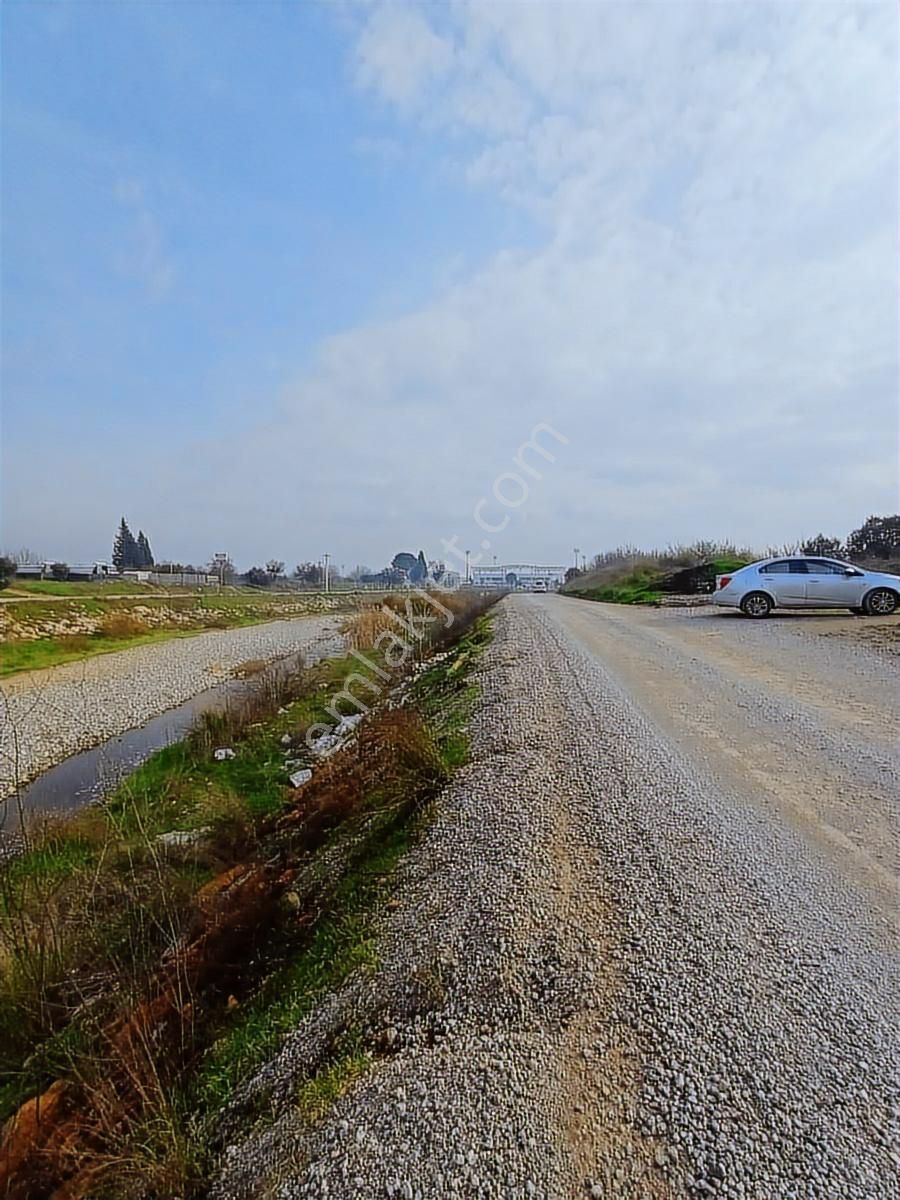 Binax Bakırçay Satılık Tarla Sütçüler Anayol Yakın 15.000 M2 - Görsel 4