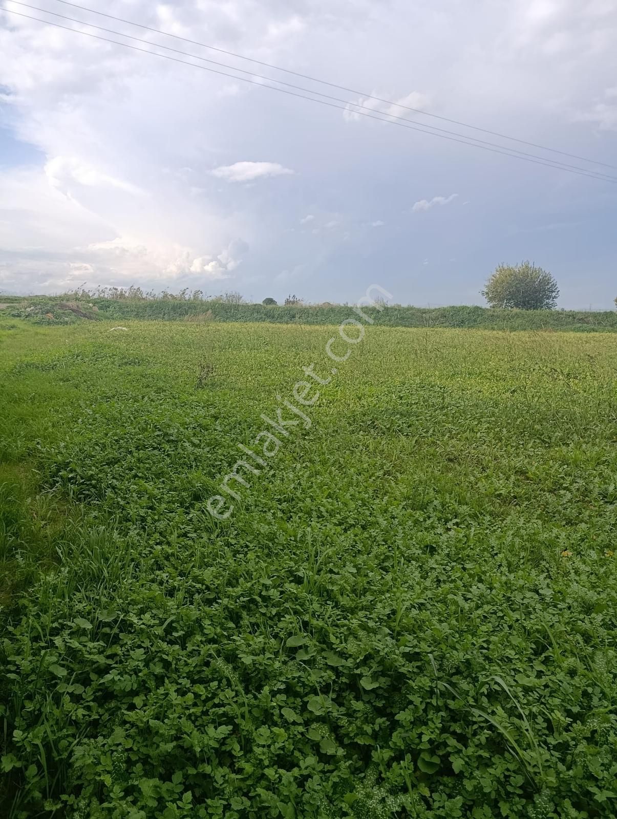 Yolu Açık Köşe Parsel Satılık Tarla - Görsel 31