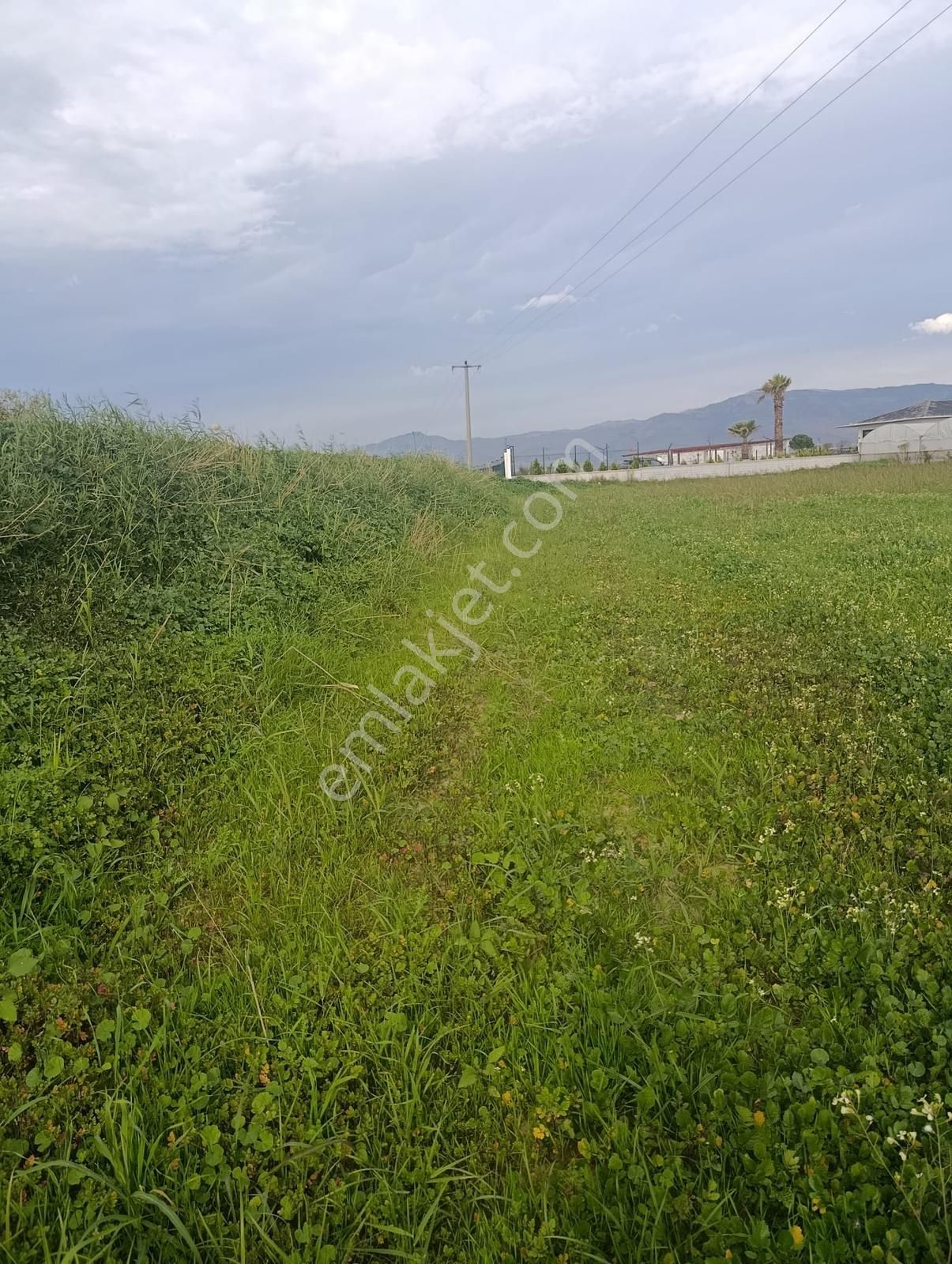 Yolu Açık Köşe Parsel Satılık Tarla - Görsel 29