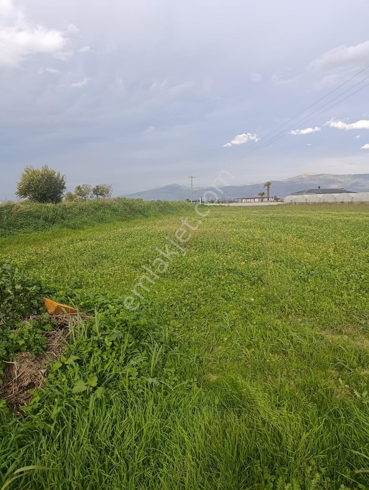 Yolu Açık Köşe Parsel Satılık Tarla - Görsel 19