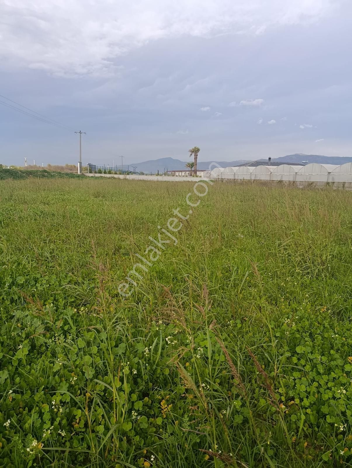 Yolu Açık Köşe Parsel Satılık Tarla - Görsel 18