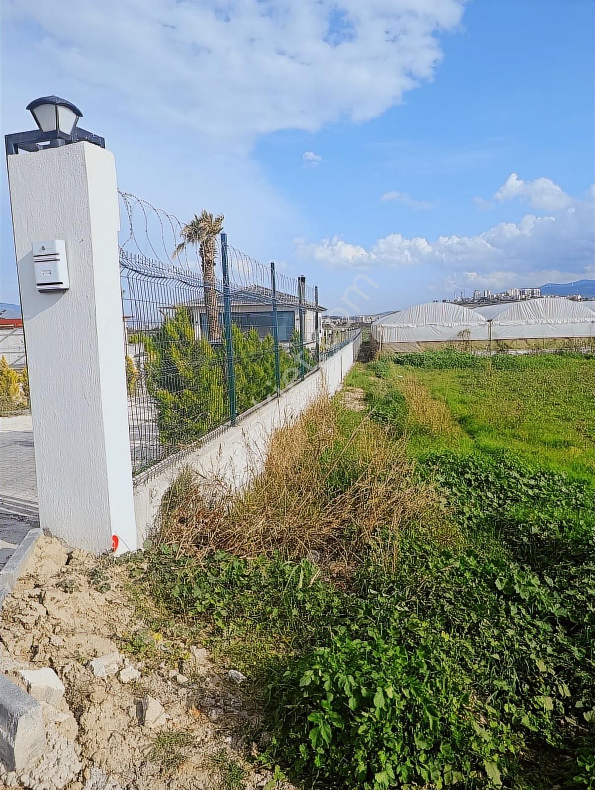 Yolu Açık Köşe Parsel Satılık Tarla - Görsel 34