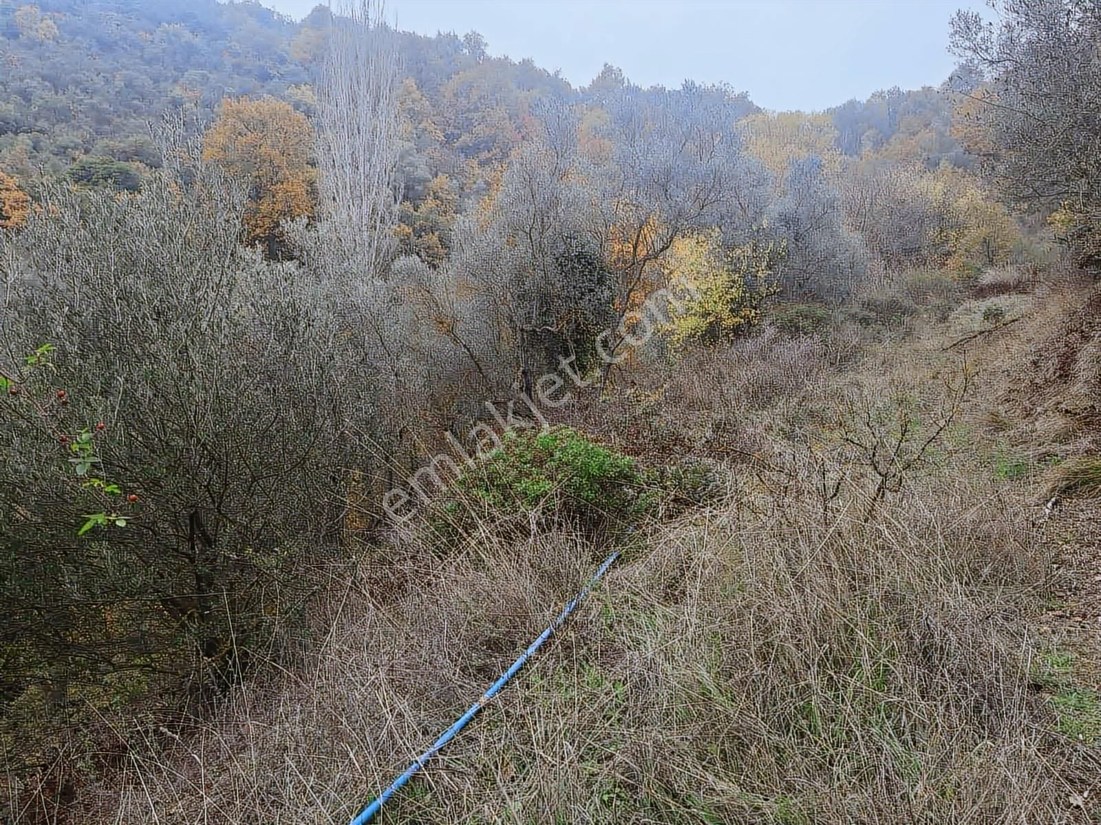 Berkay Emlaktan:orhangazi Çakırlı Mahallesi Satılık Bahçe - Görsel 3