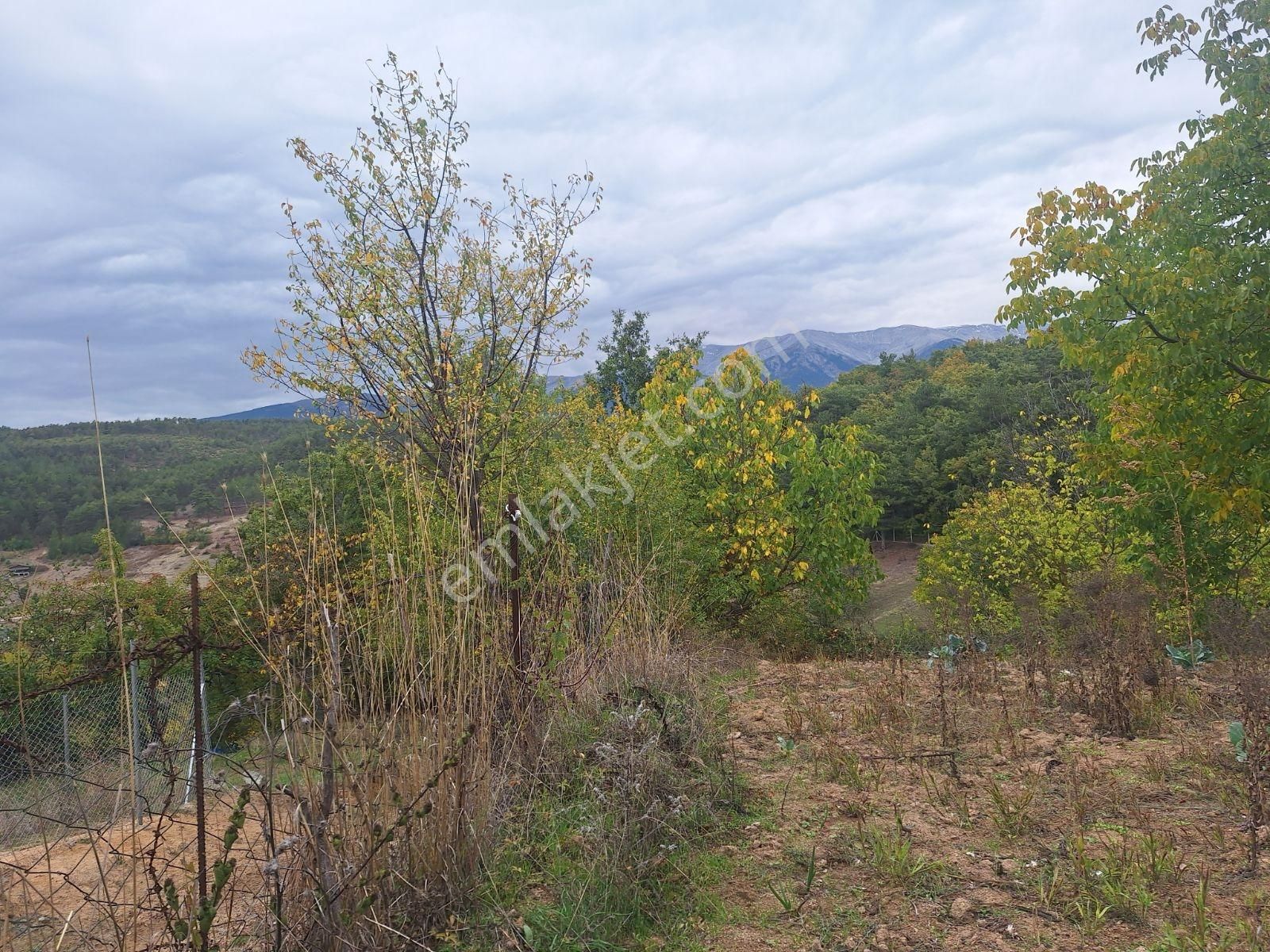 Berkay Emlaktan Satılık Bahçe Güneybudaklar - Görsel 2