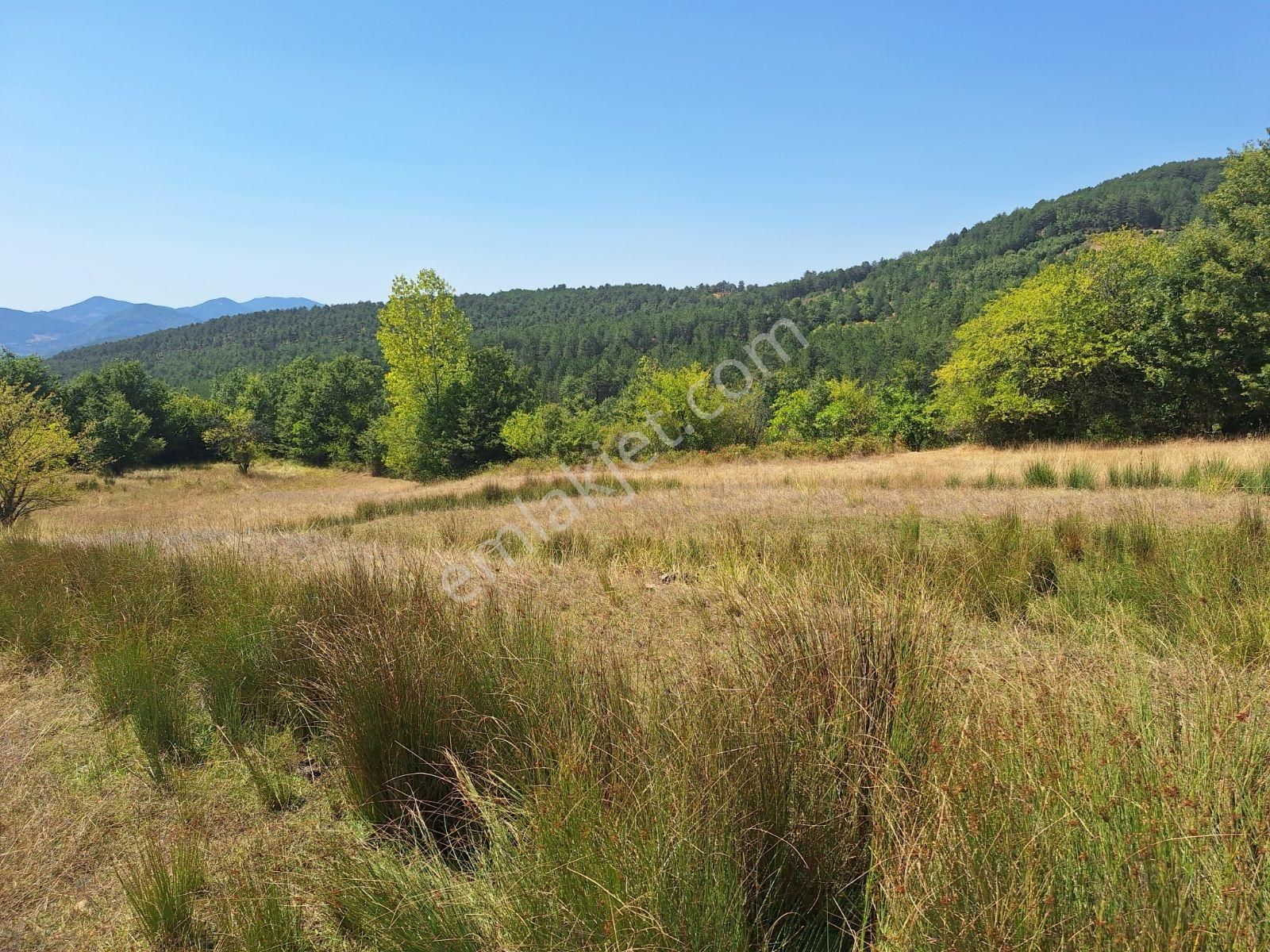 Berkay Emlaktan Satılık Tarla Güneybudaklar - Görsel 3