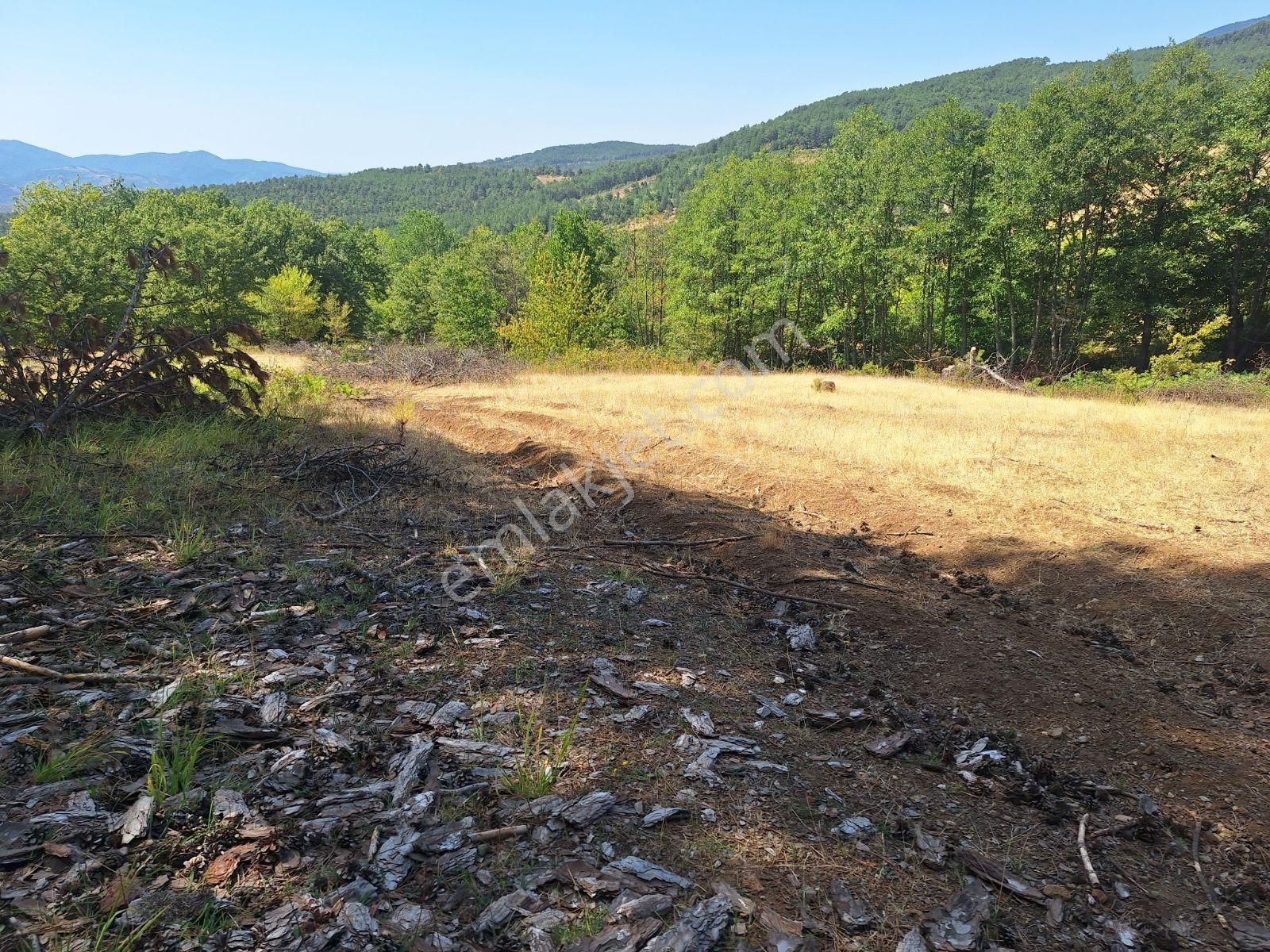 Berkay Emlaktan Satılık Tarla Güneybudaklar - Görsel 8