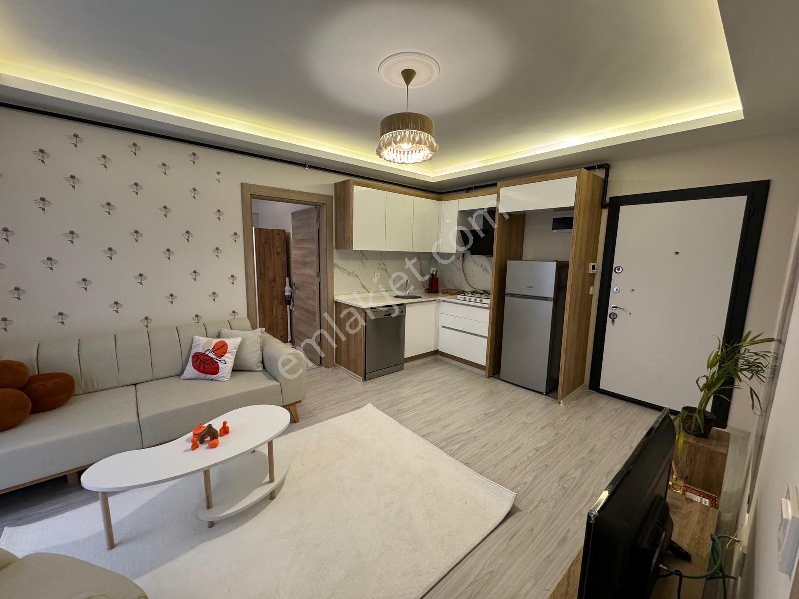 Seyrek Üniversite Yakını 1+1 Ful Eşyalı Daire - Görsel 31