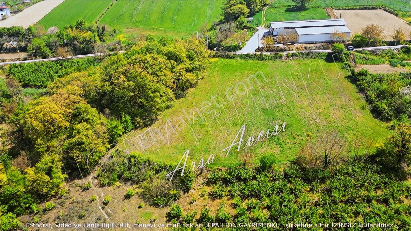 Kandıra Karlı Mahallesi Köy Yoluna Cephe %5 Uygun İmar Sınırında