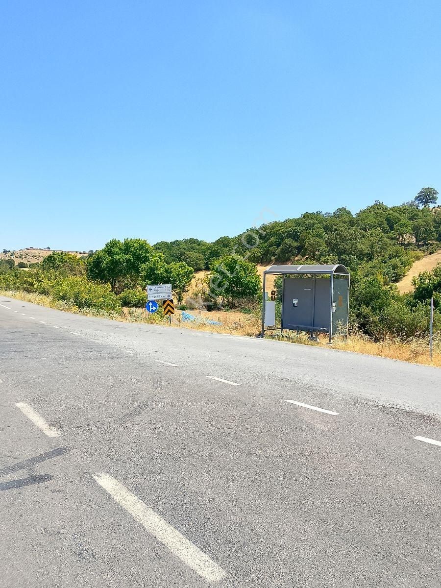 Rota Karesi Den Hobi Bahçelik ***araç Takasına Uygun*** - Görsel 2