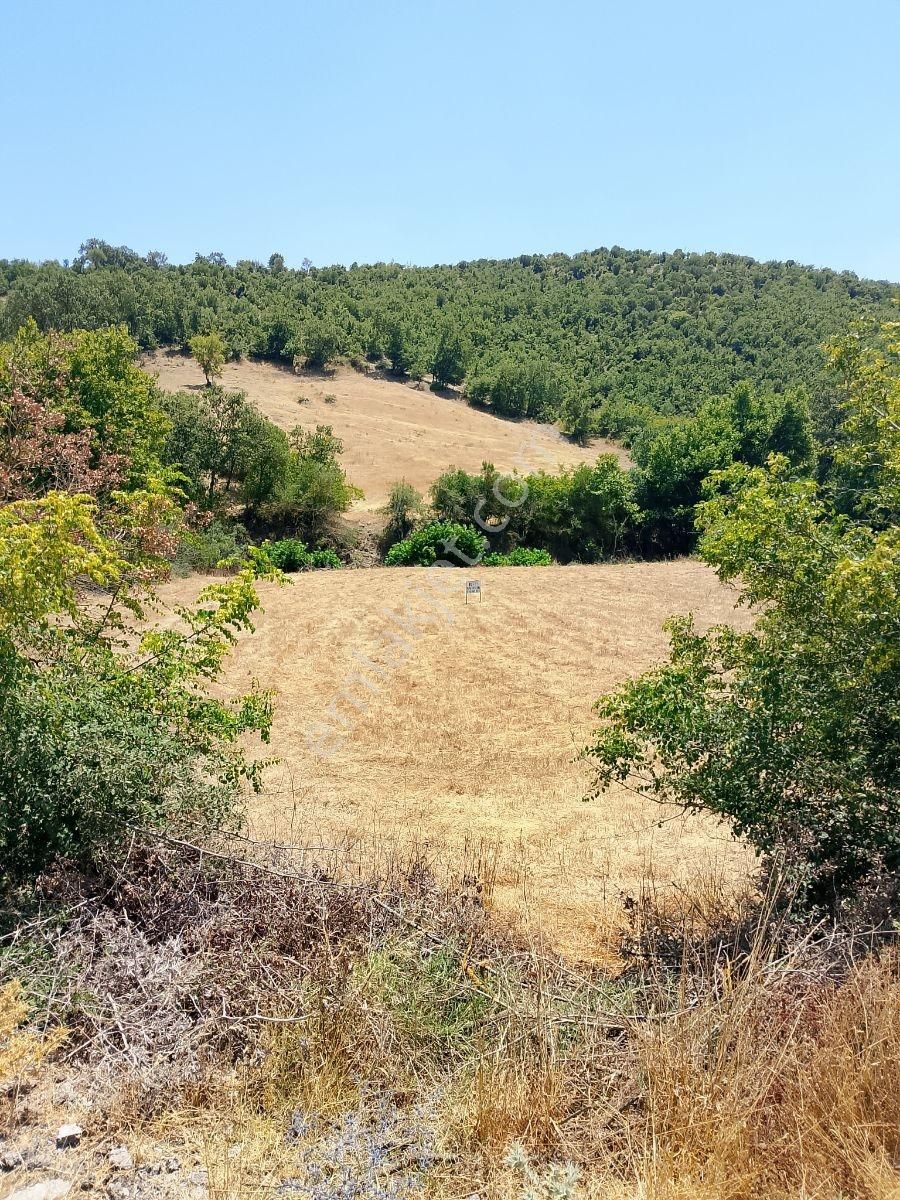 Rota Karesi Den Hobi Bahçelik ***araç Takasına Uygun*** - Görsel 34