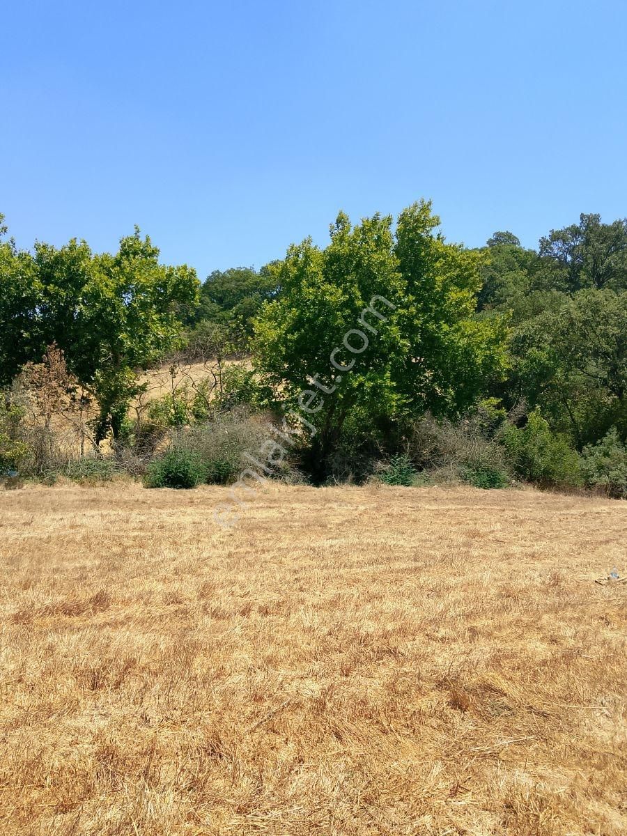 Rota Karesi Den Hobi Bahçelik ***araç Takasına Uygun*** - Görsel 22