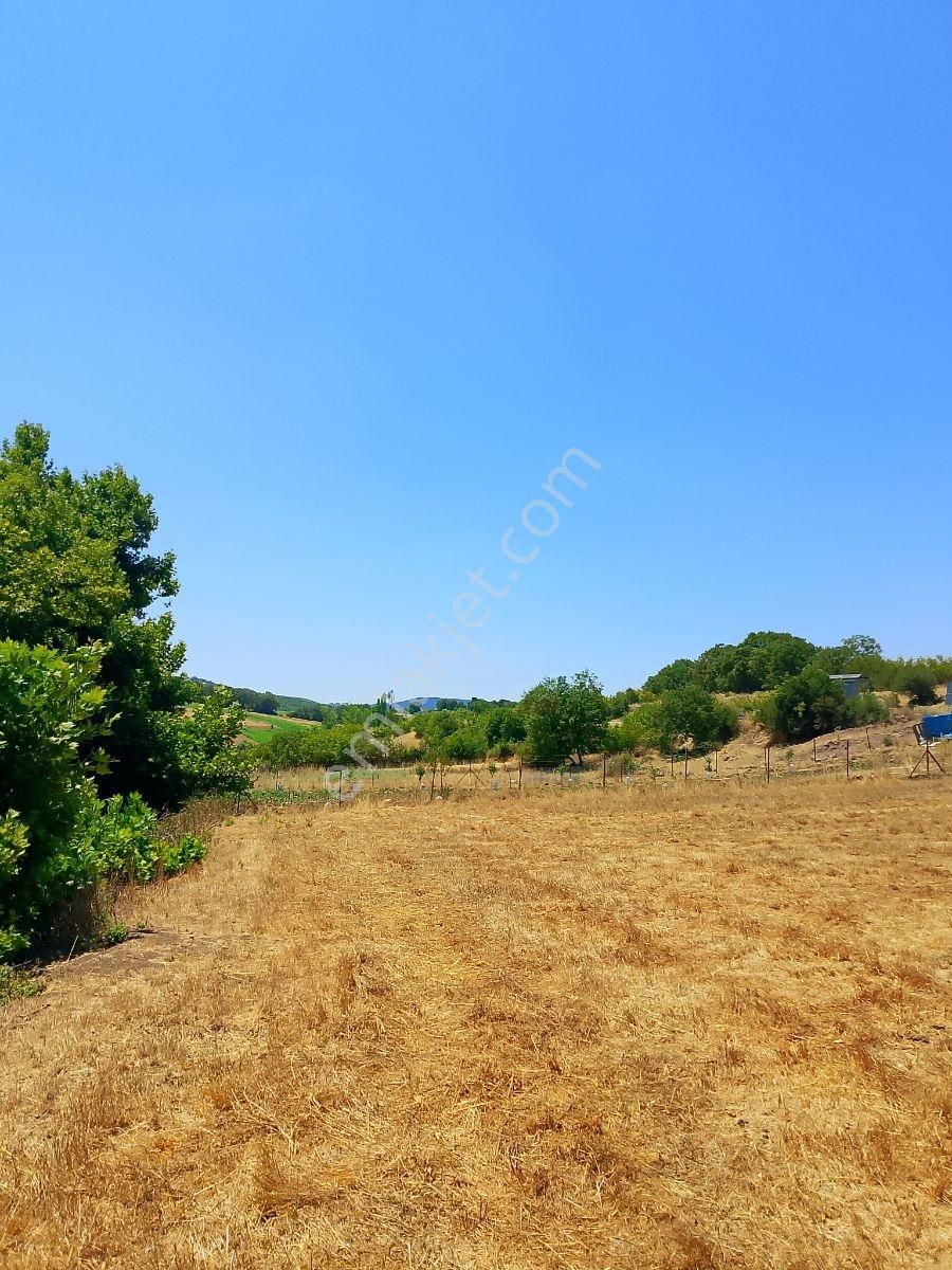 Rota Karesi Den Hobi Bahçelik ***araç Takasına Uygun*** - Görsel 30