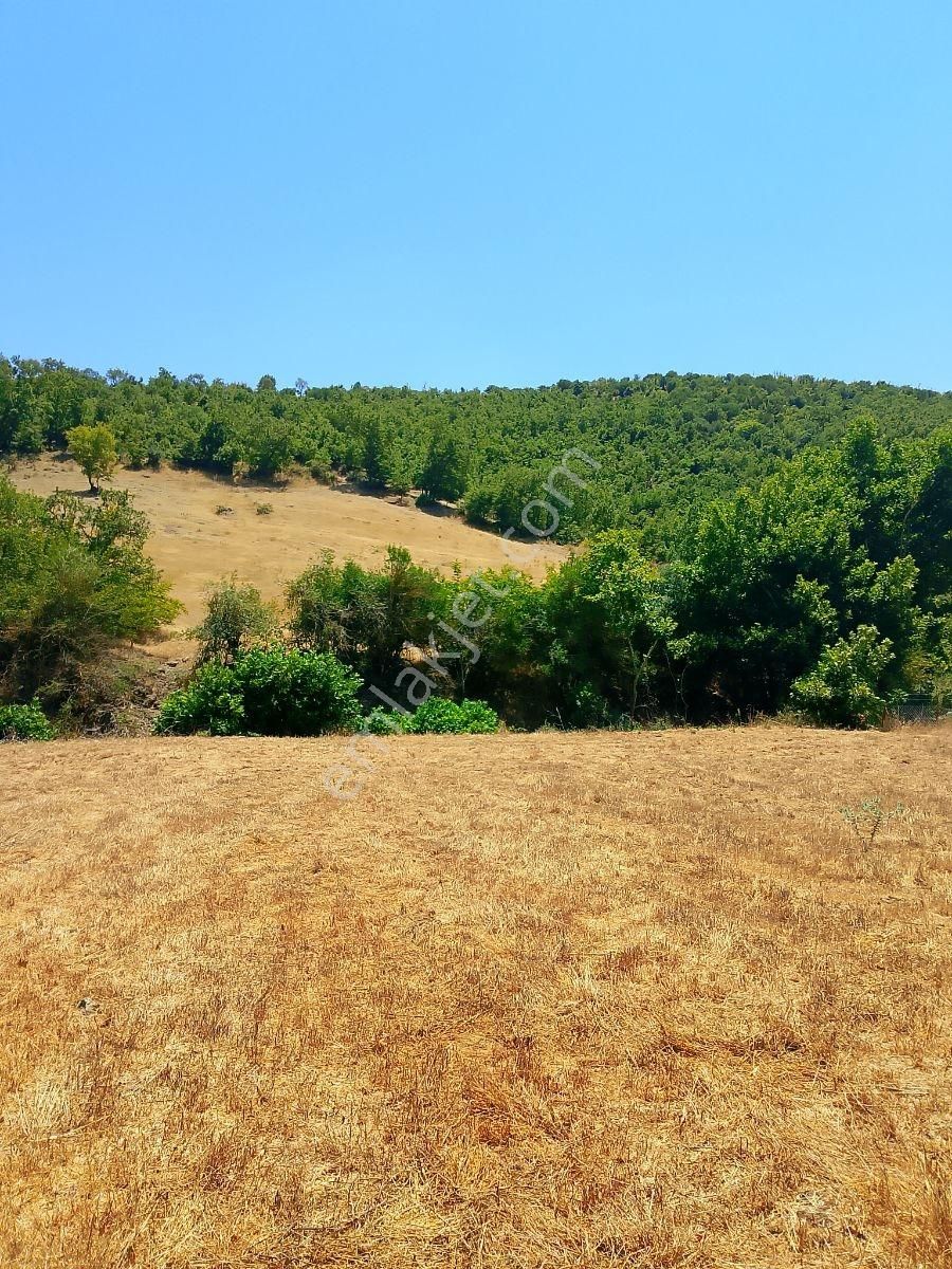 Rota Karesi Den Hobi Bahçelik ***araç Takasına Uygun*** - Görsel 32