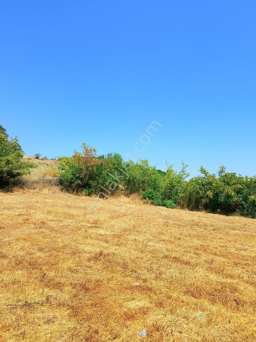 Rota Karesi Den Hobi Bahçelik ***araç Takasına Uygun*** - Görsel 26