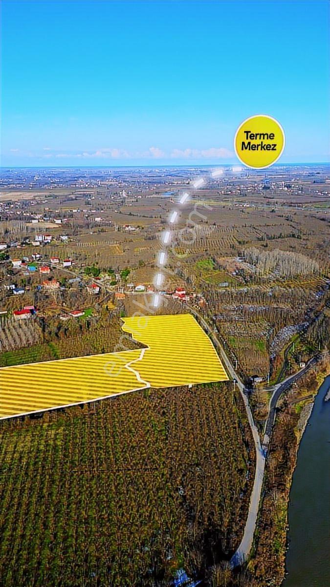 Turpa Özka355' Den Terme Köybucağında Satılık Fındık Tarlası - Görsel 5
