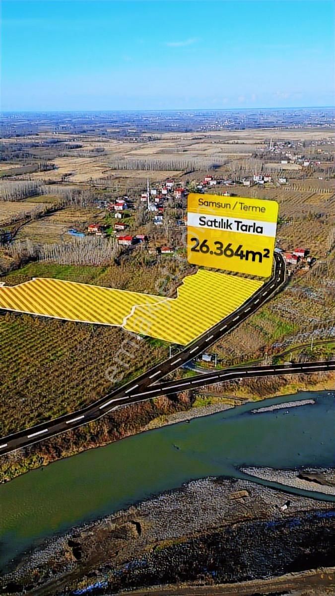 Turpa Özka355' Den Terme Köybucağında Satılık Fındık Tarlası - Görsel 3