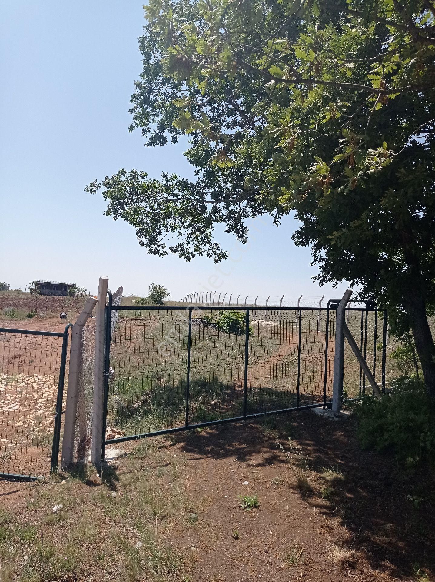 Yaz Kış Ulaşımı Kolay Tel Çiti Ve Kapısı Hazır - Görsel 3