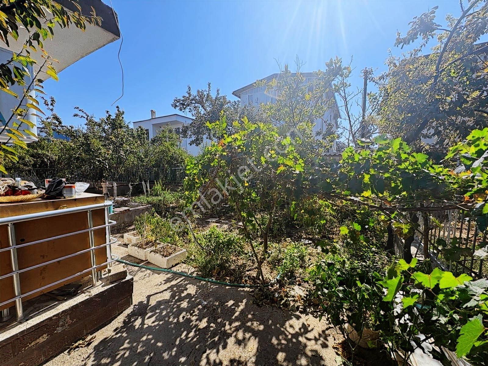 Turpa Arxes Dikili'den Cumhuriyet Mah Stadyum Arkası Müstakil Ev - Görsel 6