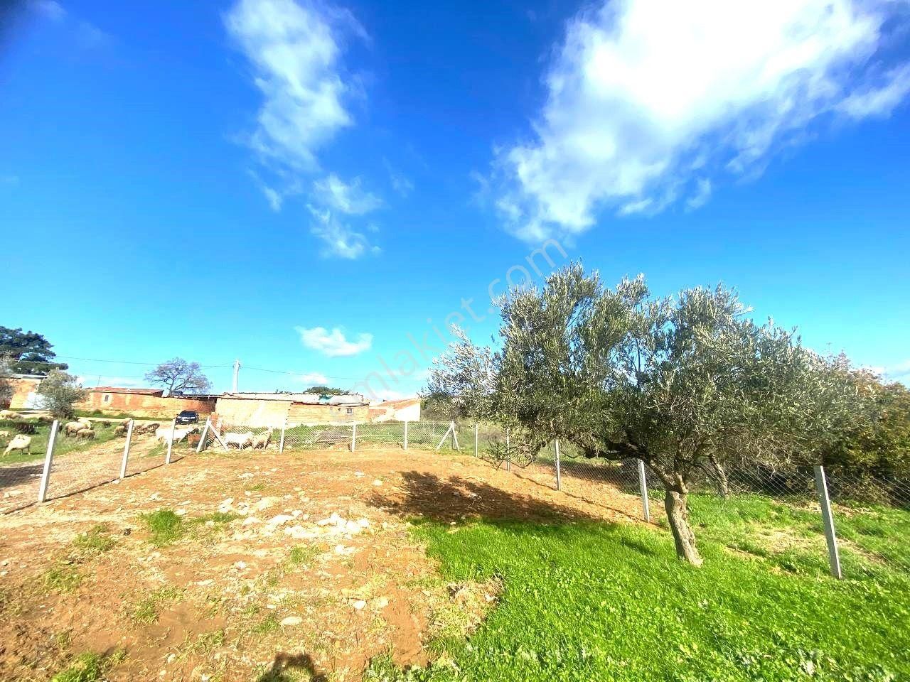 Aktiften Pelitköy'de Yatırıma Uygun 363 M2 İmarlı Satılık Arsa - Görsel 30