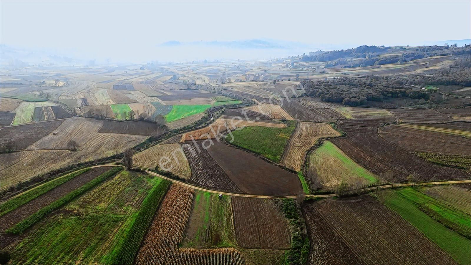 Kandıra Lokmanlıda Kadastral Yola Cephe Satılık Arsa - Görsel 20