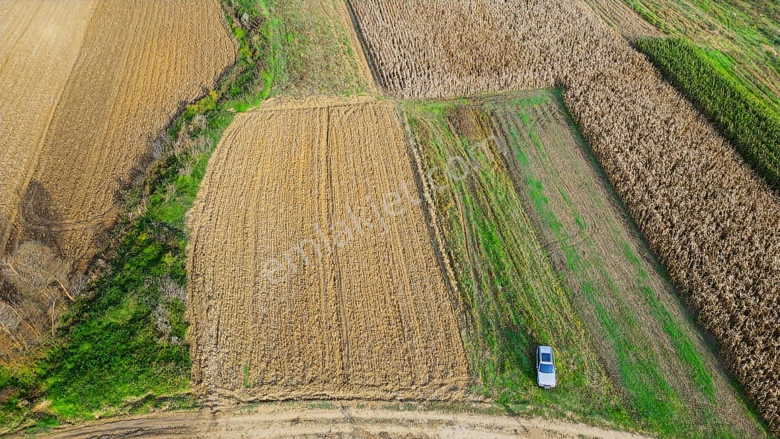 Kandıra Lokmanlıda Kadastral Yola Cephe Satılık Arsa - Görsel 15