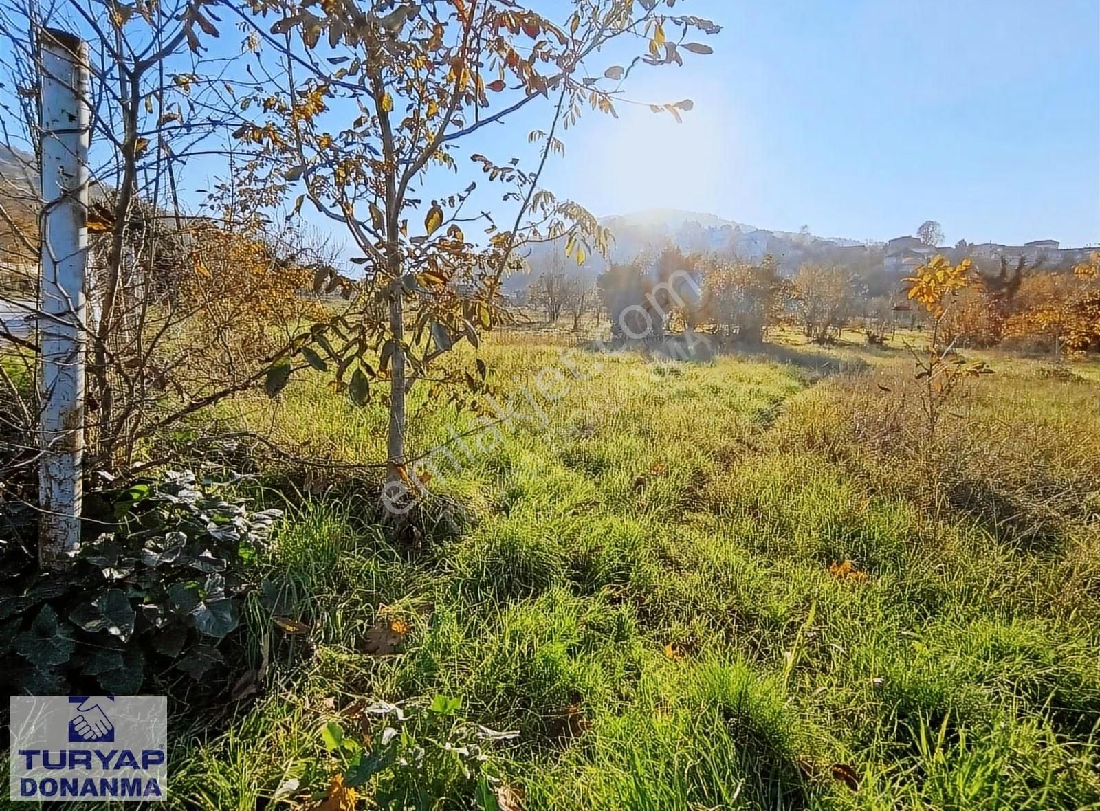 Turyap Donanma'dan İhsaniye Merkez Mahallesinde Kiralık Tarla - Görsel 3