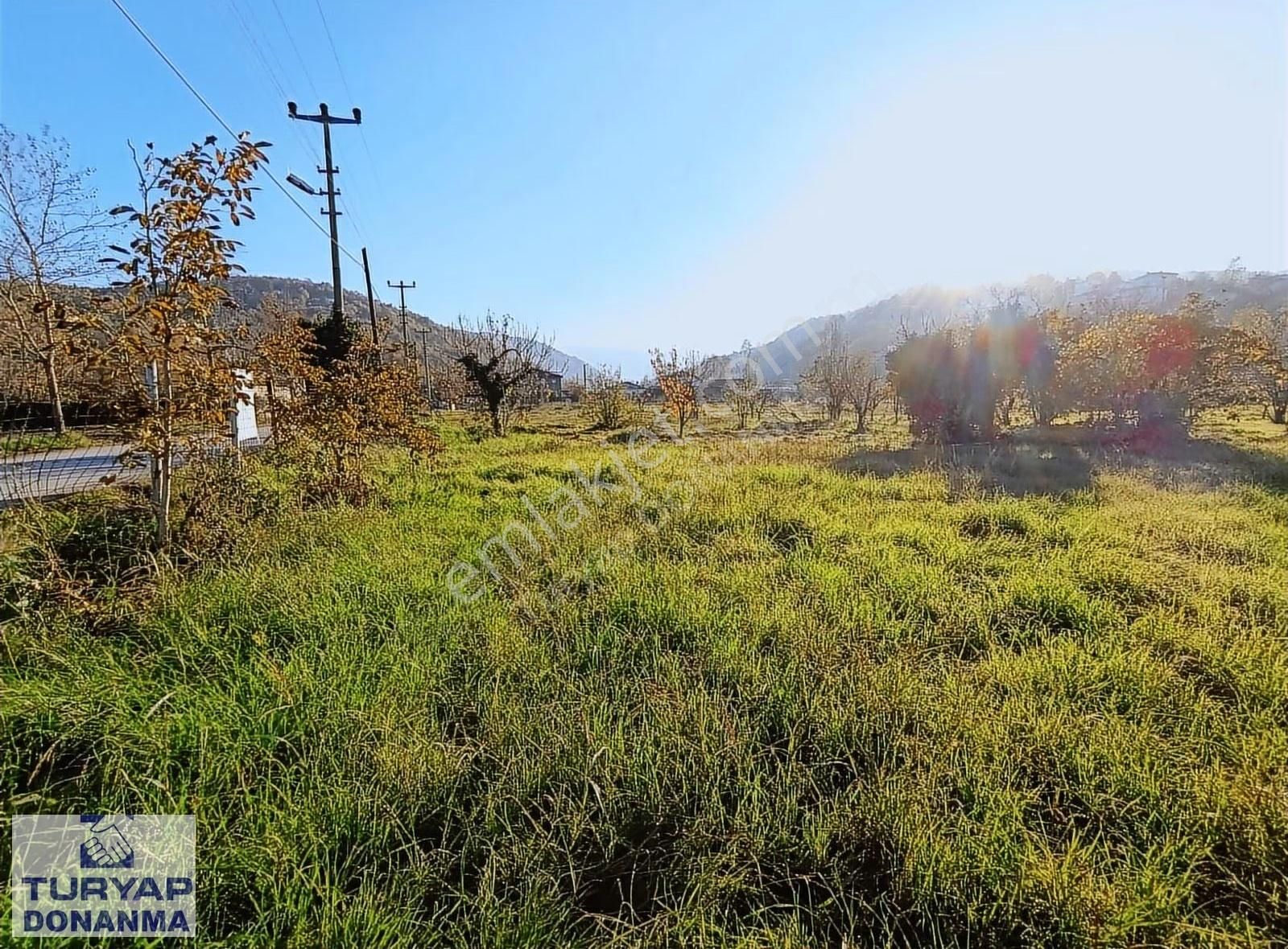 Turyap Donanma'dan İhsaniye Merkez Mahallesinde Kiralık Tarla - Görsel 10