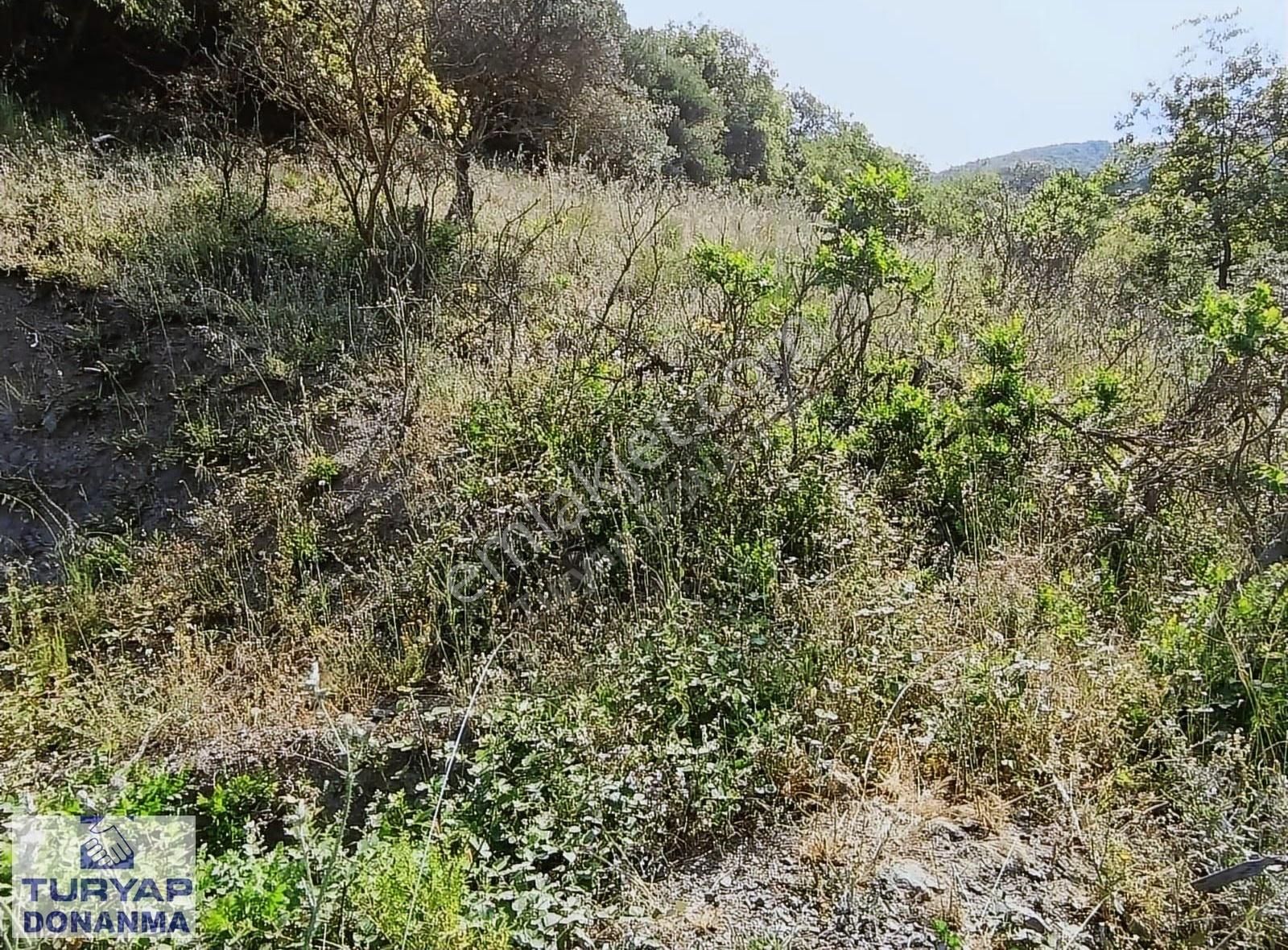 Turyap Donanma'dan K.mürsel Akçat' Ta Satılık 849 M2 Tarla - Görsel 2