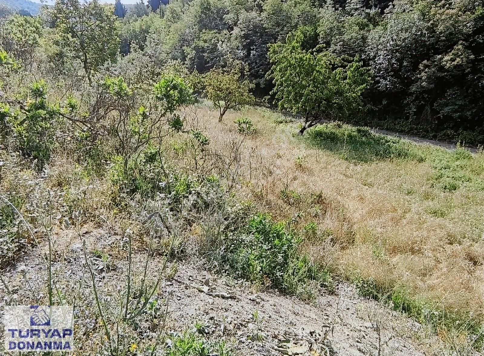 Turyap Donanma'dan K.mürsel Akçat' Ta Satılık 849 M2 Tarla - Görsel 20