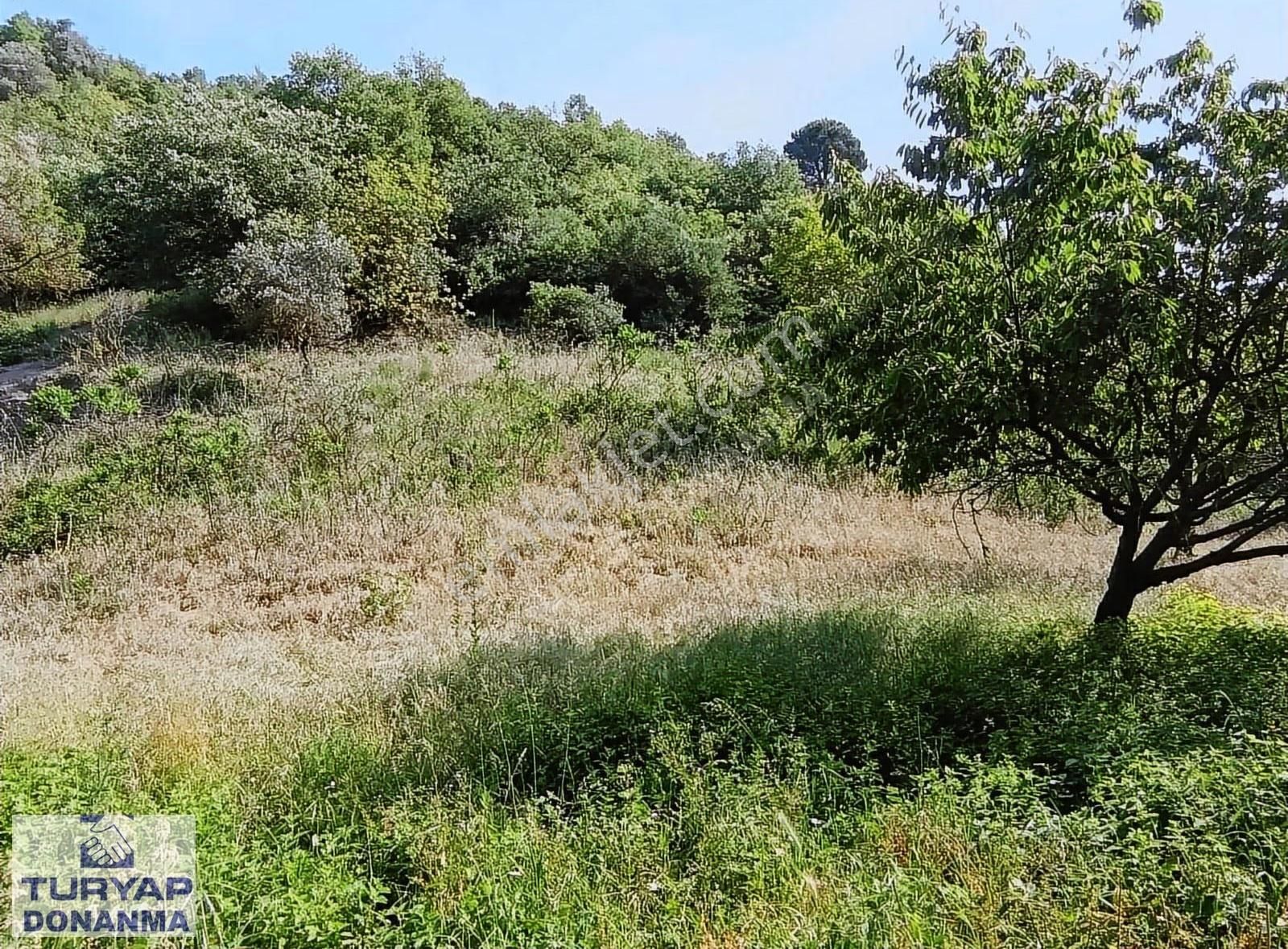 Turyap Donanma'dan K.mürsel Akçat' Ta Satılık 849 M2 Tarla - Görsel 13