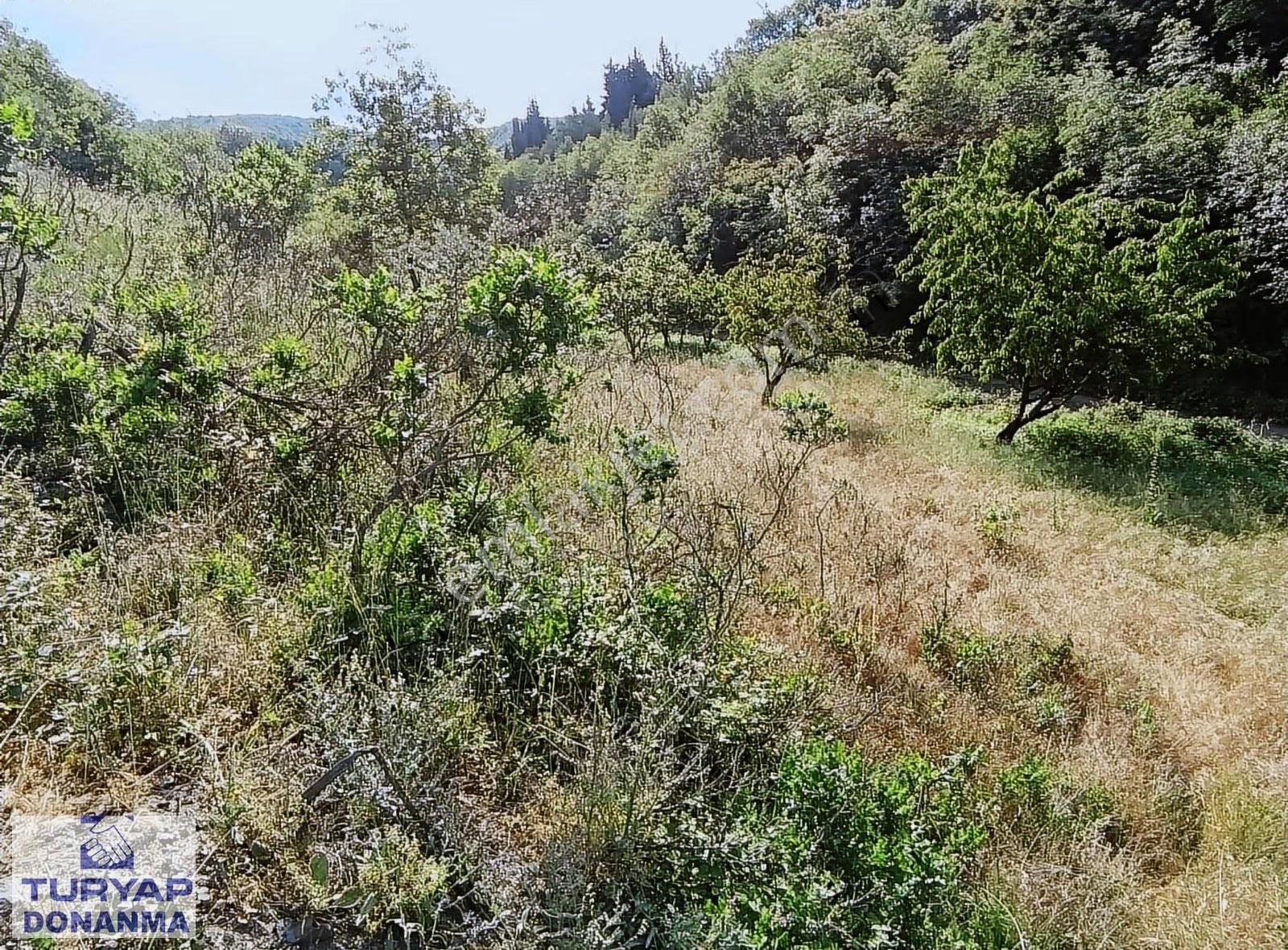 Turyap Donanma'dan K.mürsel Akçat' Ta Satılık 849 M2 Tarla - Görsel 12