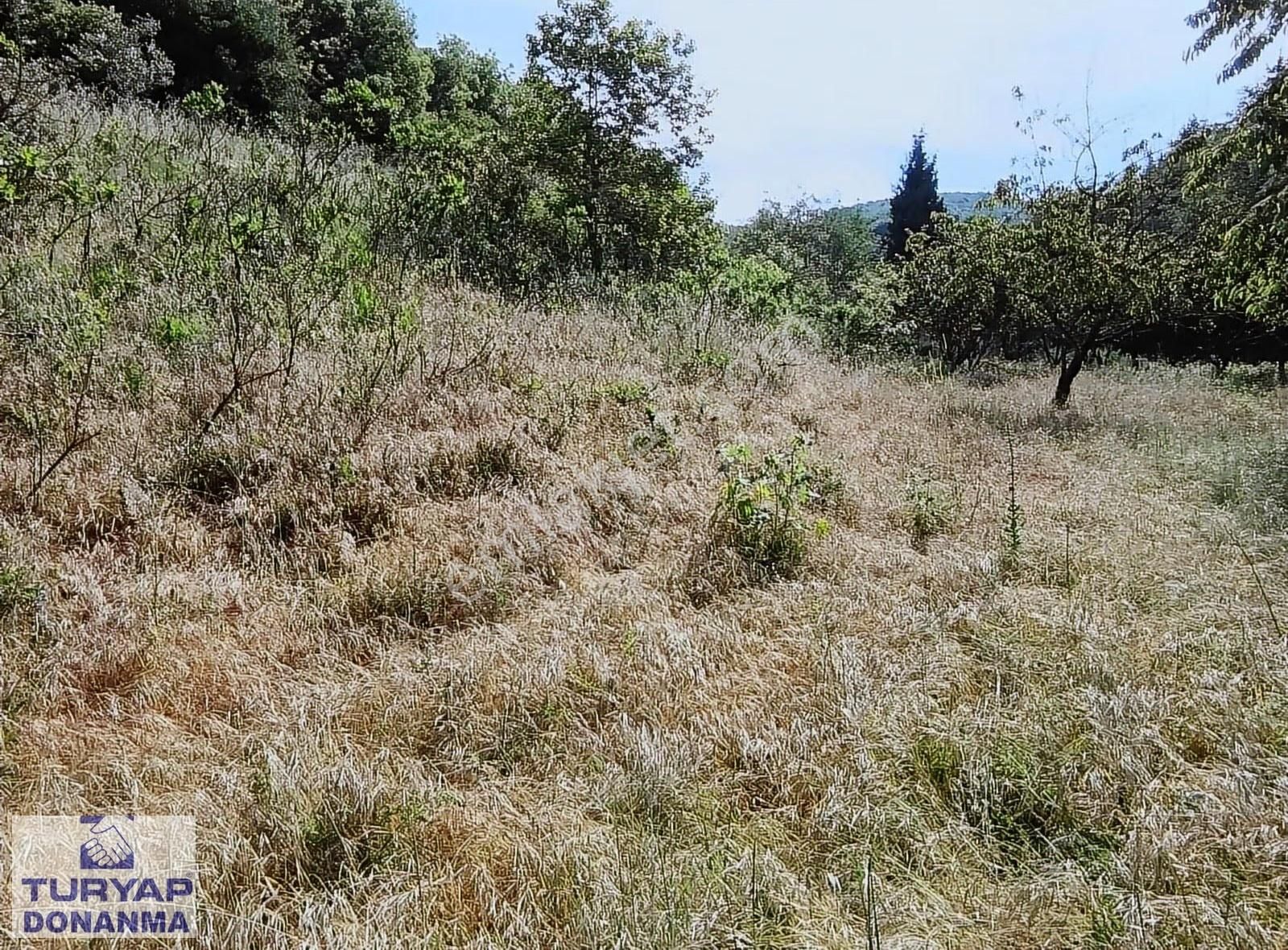 Turyap Donanma'dan K.mürsel Akçat' Ta Satılık 849 M2 Tarla - Görsel 18